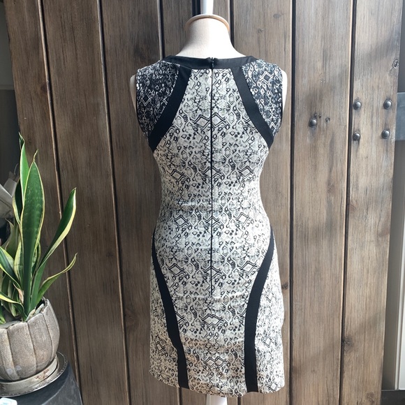 Parker Jaggar • sleeveless sheath Dress - Picture 7 of 14